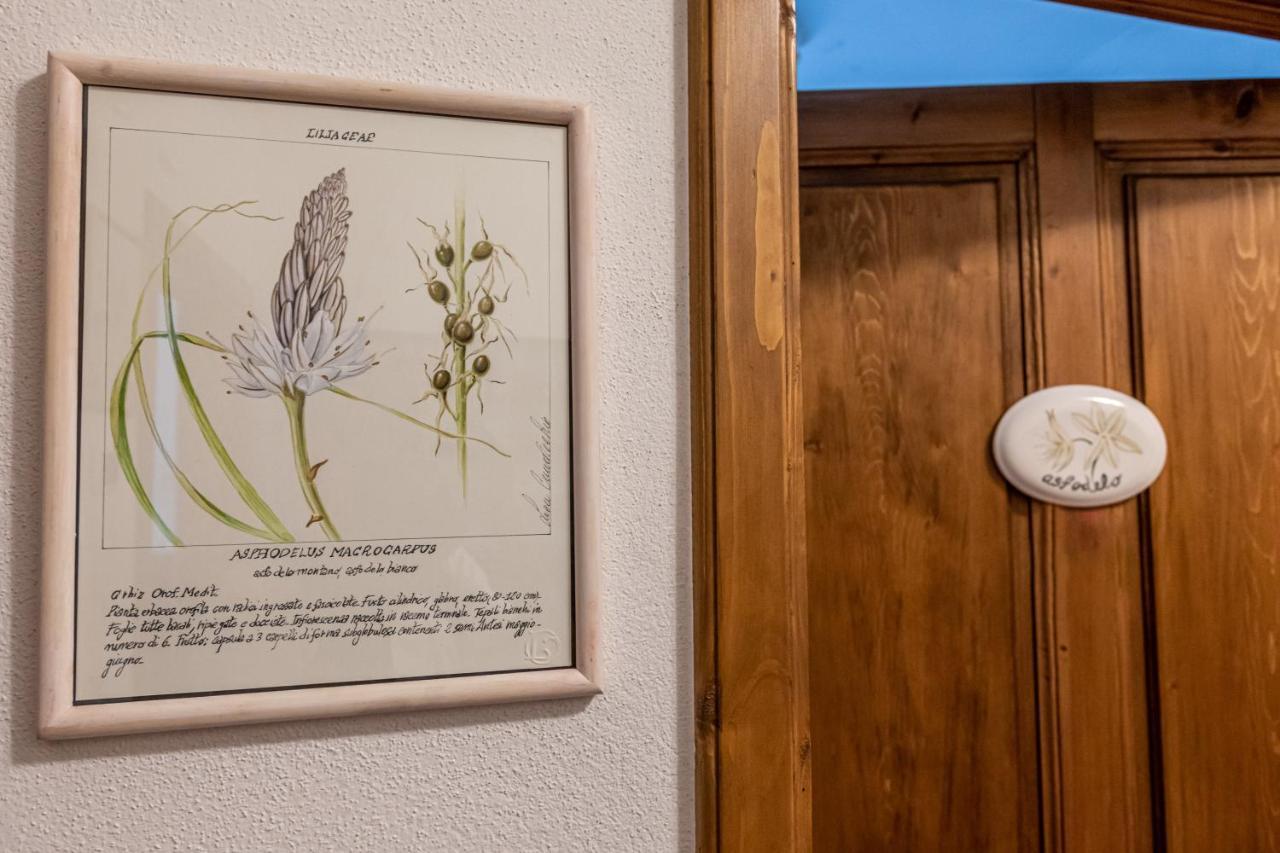 La Locanda Di Adele - Il Giardinetto B&B Σκαρπερία Εξωτερικό φωτογραφία